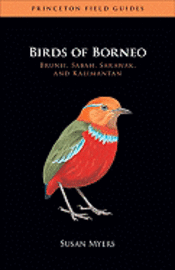 bokomslag Birds of Borneo