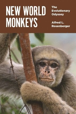 Alfred L. Rosenberger - New World Monkeys, Inbunden