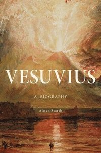 bokomslag Vesuvius: A Biography