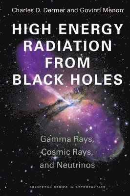 bokomslag High Energy Radiation from Black Holes