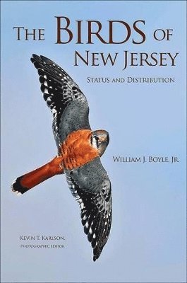 William J. Boyle, William J Boyle, Kevin T. Karlson, Kevin T Karlson - Birds of New Jersey, Häftad