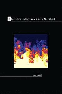 bokomslag Statistical Mechanics in a Nutshell