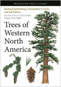 bokomslag Trees of Western North America