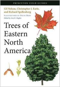 bokomslag Trees of Eastern North America
