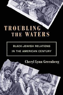 Cheryl Lynn Greenberg - Troubling the Waters, Häftad