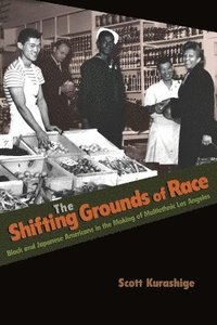bokomslag The Shifting Grounds of Race