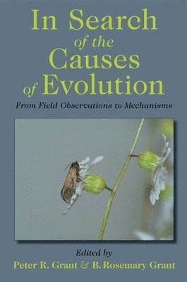 In Search of the Causes of Evolution 1
