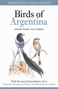 bokomslag Birds of Argentina and the South-West Atlantic