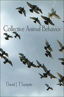 bokomslag Collective Animal Behavior