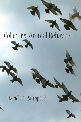 David J. T. Sumpter, David J T Sumpter - Collective Animal Behavior, Häftad