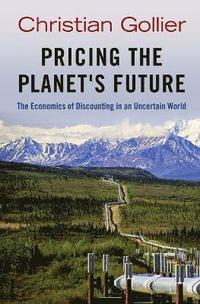 bokomslag Pricing the Planet's Future