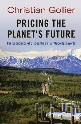 Pricing the Planet's Future 1