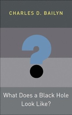 Charles D. Bailyn, Charles D Bailyn - What Does a Black Hole Look Like?, Inbunden