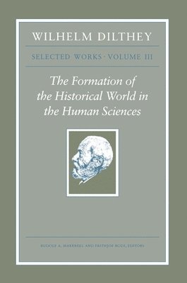 Wilhelm Dilthey, Rudolf A. Makkreel, Frithjof Rodi - Wilhelm Dilthey: Selected Works, Volume III, Häftad