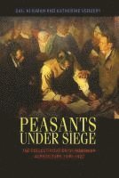 bokomslag Peasants under Siege