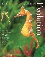 bokomslag The Princeton Guide to Evolution