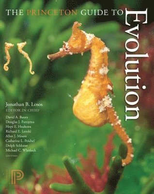David A. Baum, Douglas J. Futuyma, Hopi E. Hoekstra, Richard E. Lenski, Allen J. Moore, Catherine L. Peichel, Dolph Schluter, Michael C. Whitlock - Princeton Guide to Evolution, Inbunden