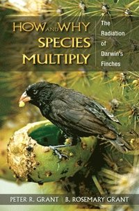 bokomslag How and Why Species Multiply
