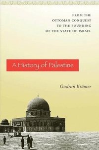 bokomslag A History of Palestine