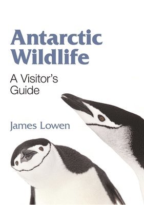 James Lowen - Antarctic Wildlife: A Visitor's Guide, Häftad