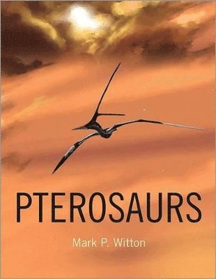 bokomslag Pterosaurs