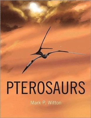 Pterosaurs 1