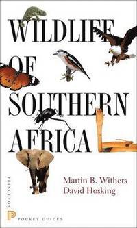 bokomslag Wildlife of Southern Africa