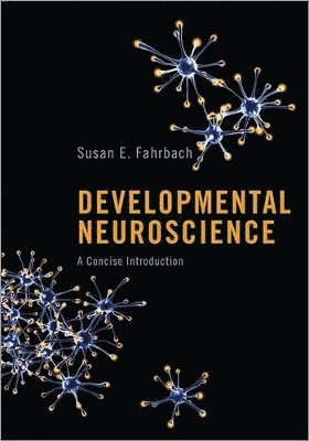 Developmental Neuroscience 1