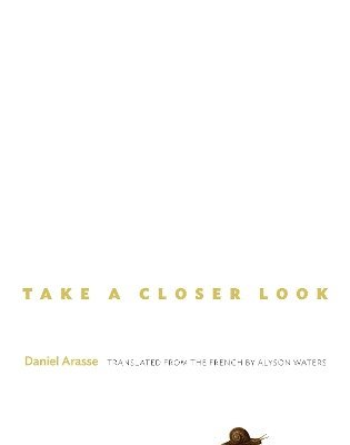 Daniel Arasse - Take a Closer Look, Inbunden