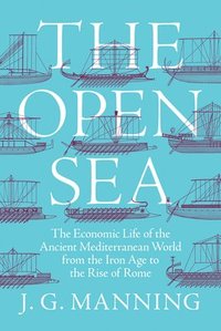 bokomslag The Open Sea