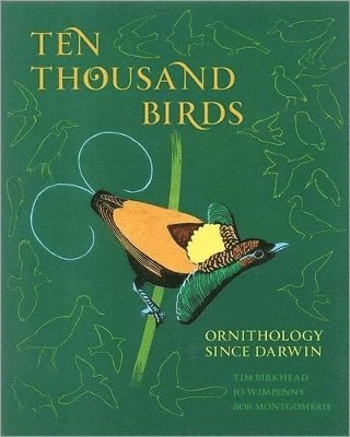 Ten Thousand Birds 1