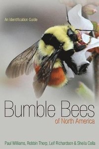 bokomslag Bumble Bees of North America
