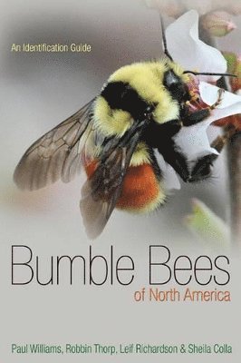 Bumble Bees of North America 1