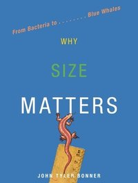 bokomslag Why Size Matters