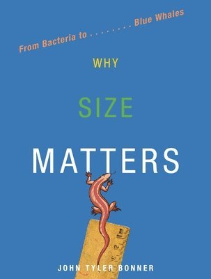 John Tyler Bonner - Bonner, J: Why Size Matters, Häftad