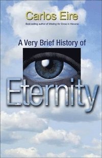 bokomslag A Very Brief History of Eternity