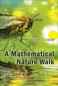 bokomslag A Mathematical Nature Walk