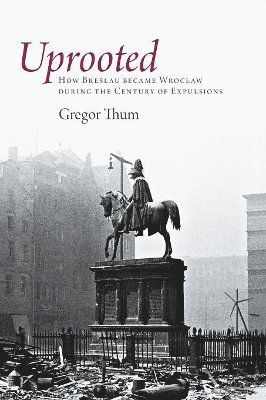 Gregor Thum - Uprooted, Häftad