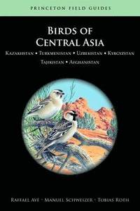 bokomslag Birds of Central Asia