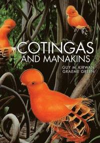 bokomslag Cotingas and Manakins