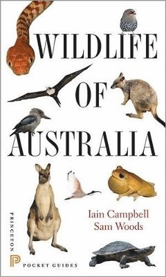 Iain Campbell, Sam Woods - Wildlife of Australia, Häftad