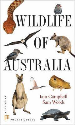 bokomslag Wildlife of Australia