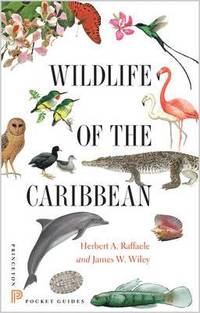 bokomslag Wildlife of the Caribbean