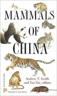 bokomslag Mammals of China