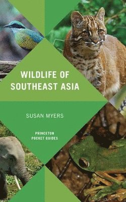 Susan Myers - Wildlife of Southeast Asia, Häftad