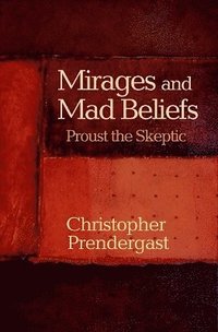 bokomslag Mirages and Mad Beliefs