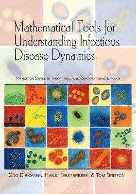 Odo Diekmann, Hans Heesterbeek, Tom Britton - Mathematical Tools for Understanding Infectious Disease Dynamics, Inbunden