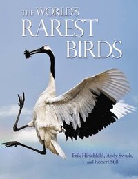 bokomslag The World's Rarest Birds