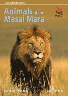bokomslag Animals of the Masai Mara