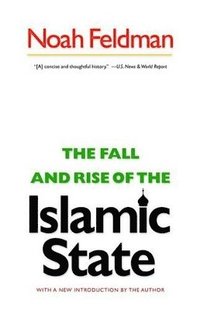 bokomslag The Fall and Rise of the Islamic State